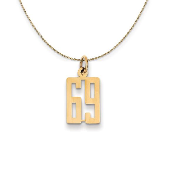 14k Yellow Gold, Alumni Small Elongated Number 69 Necklace - 24 Inch - Picture 1 of 7